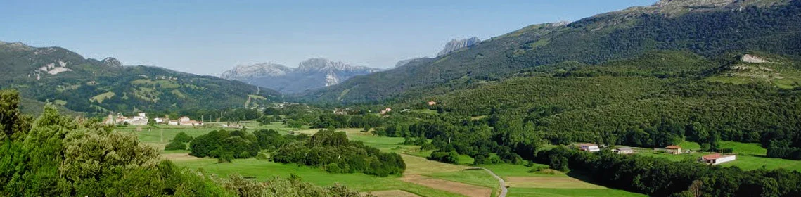 ruesga1