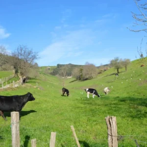 Ganaderías de Valles Unidos