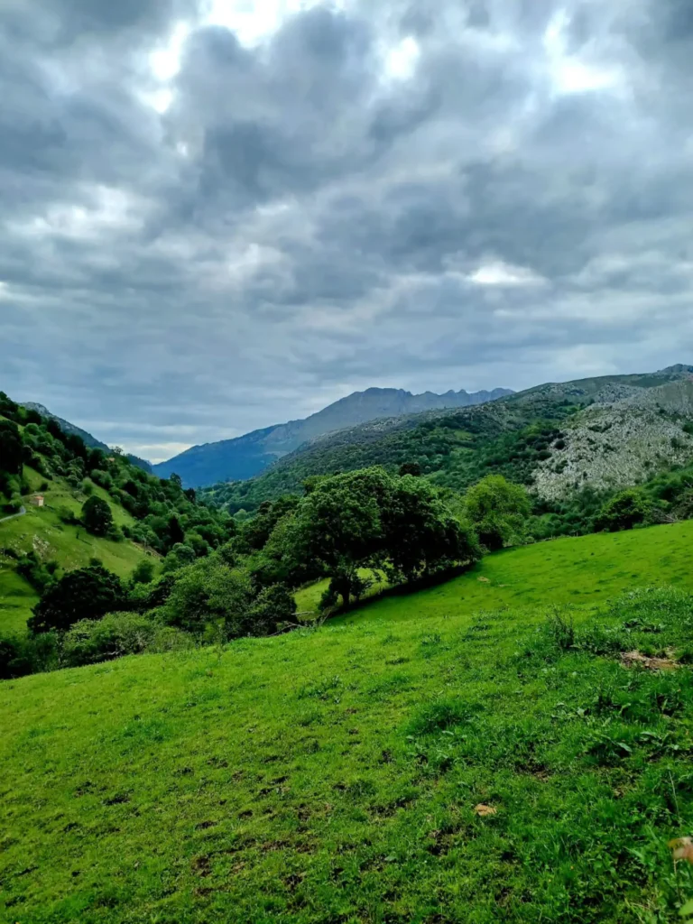 El Rincón de la Naturaleza Casa Alquiler Vacacional